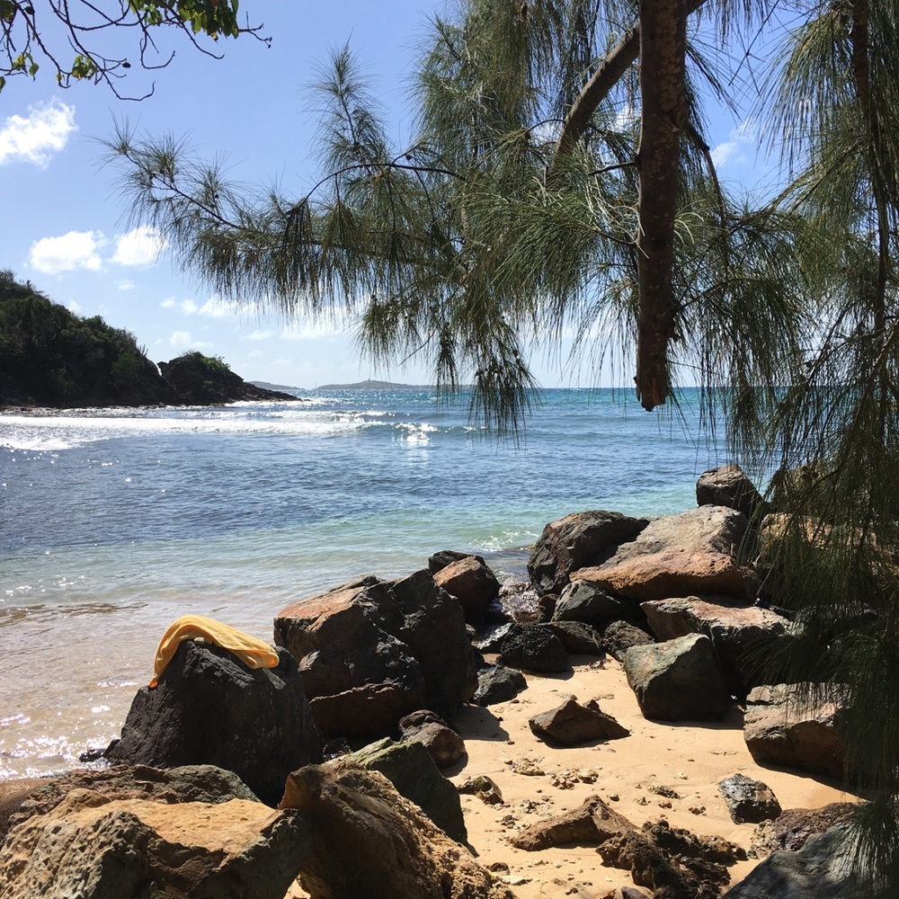 Meet your Posher, Julia